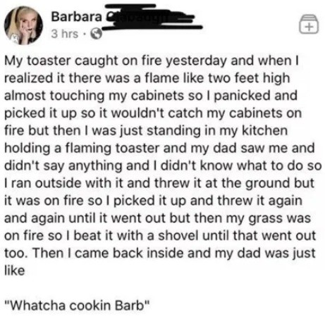 flaming toaster.jpg